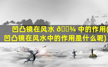 凹凸镜在风水 🌾 中的作用(凹凸镜在风水中的作用是什么呢)
